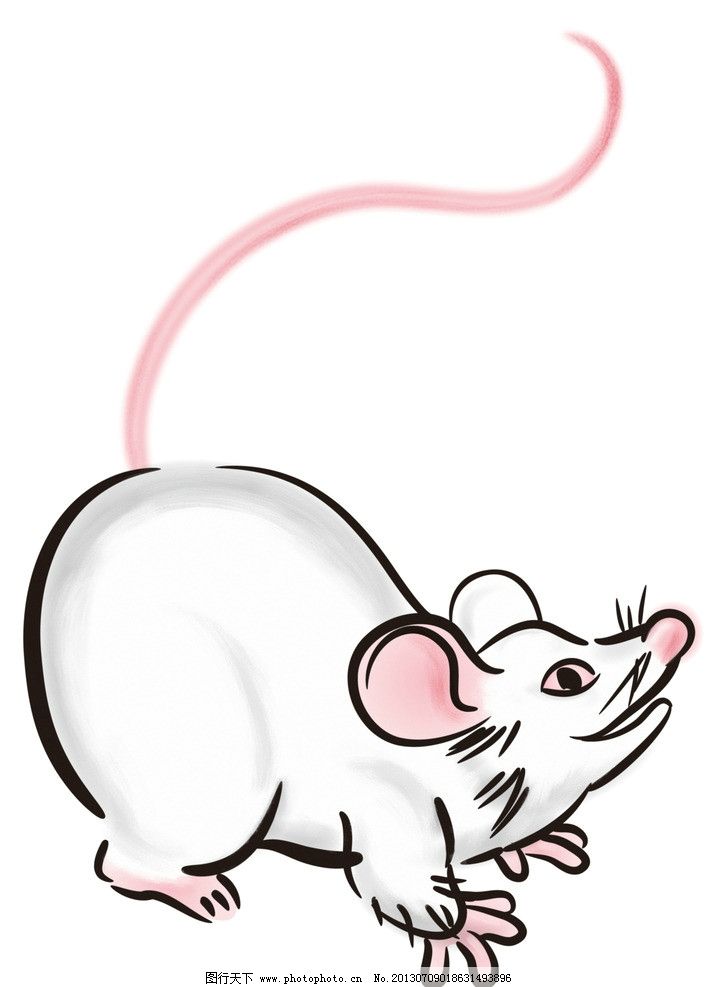 老鼠牙齿咔咔咔手工制作