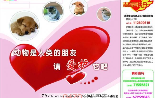 300DPI psd 公益 广告设计模板 海报设计 可爱 小狗 小猫 心形 源文件 爱护动物素材下载 爱护动物模板下载 爱护动物 公益 小狗 小猫 可爱 心形 海报设计 广告设计模板 源文件 300dpi psd 环保公益海报