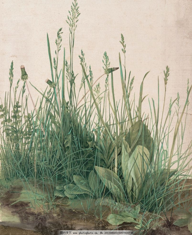 阿尔布雷特丢勒作品 油画 德国古典油画作品 文艺复兴时期 风景油画 一堆草 草地 植物 自然 草 景观艺术 草丛 阿尔贝蒂娜 杜勒 德国画家 北方文艺复兴 阿尔布雷特·丢勒作品 绘画书法 文化艺术 设计 14DPI JPG