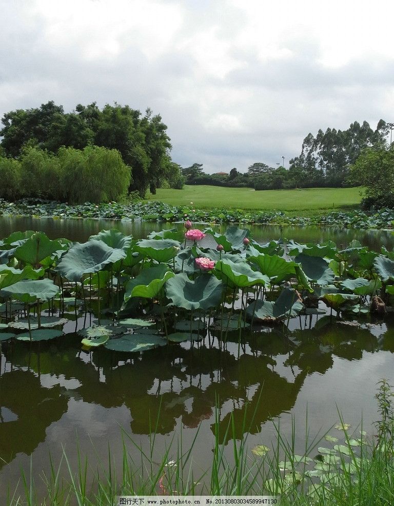 2018年6月16日中午播放的福建导视频道上说的