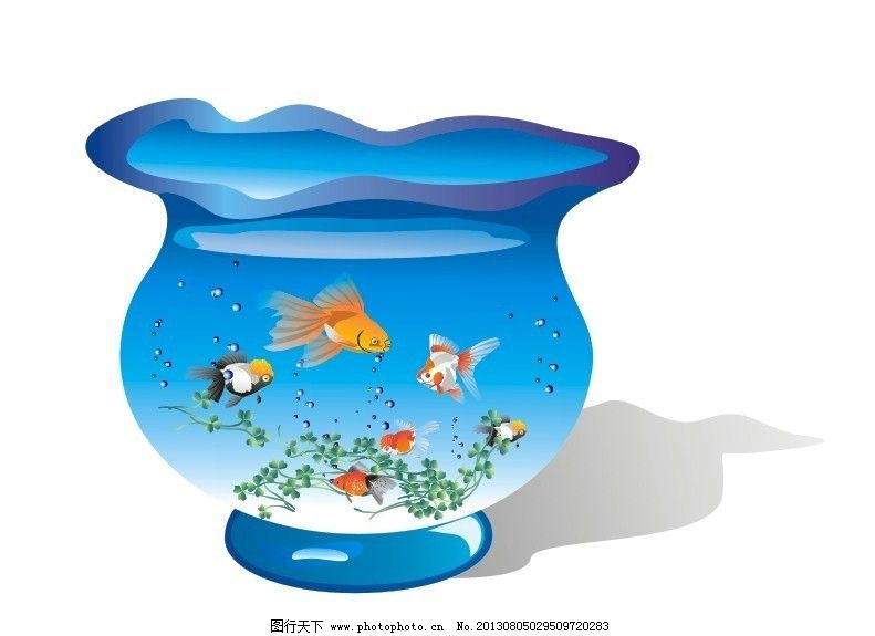 鱼缸图片,鱼缸设计素材 水 鱼类 水草 气泡 矢量