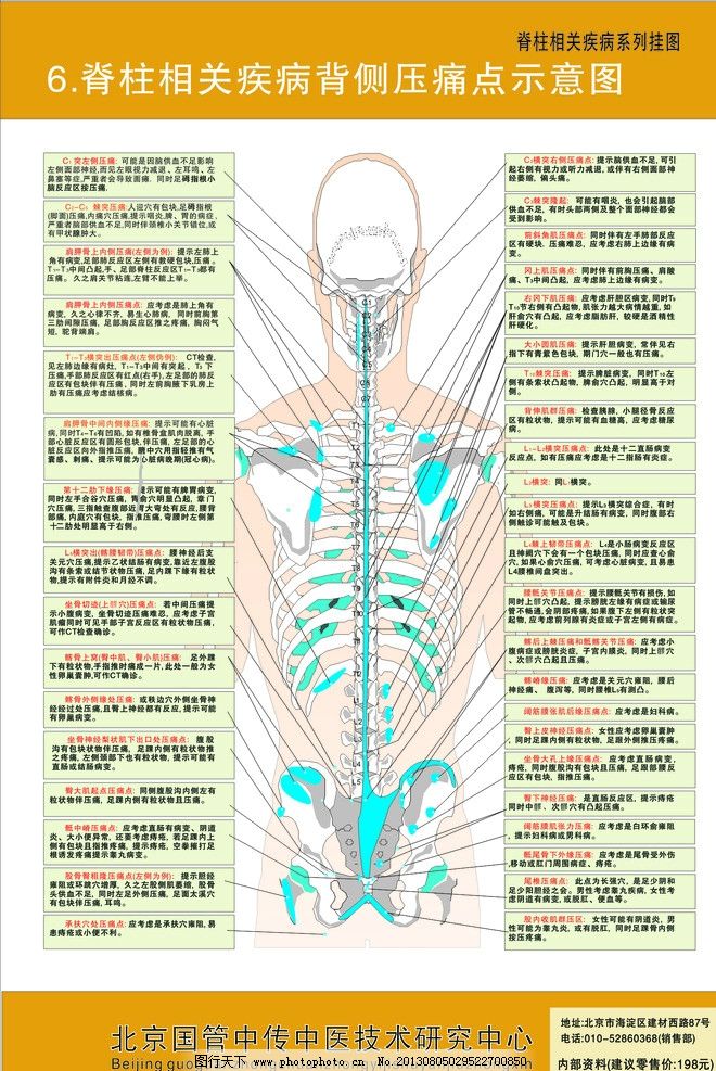 颈椎结构图图片,脊柱结构图 颈椎展架 写真 骨骼 背部-图行天下图库