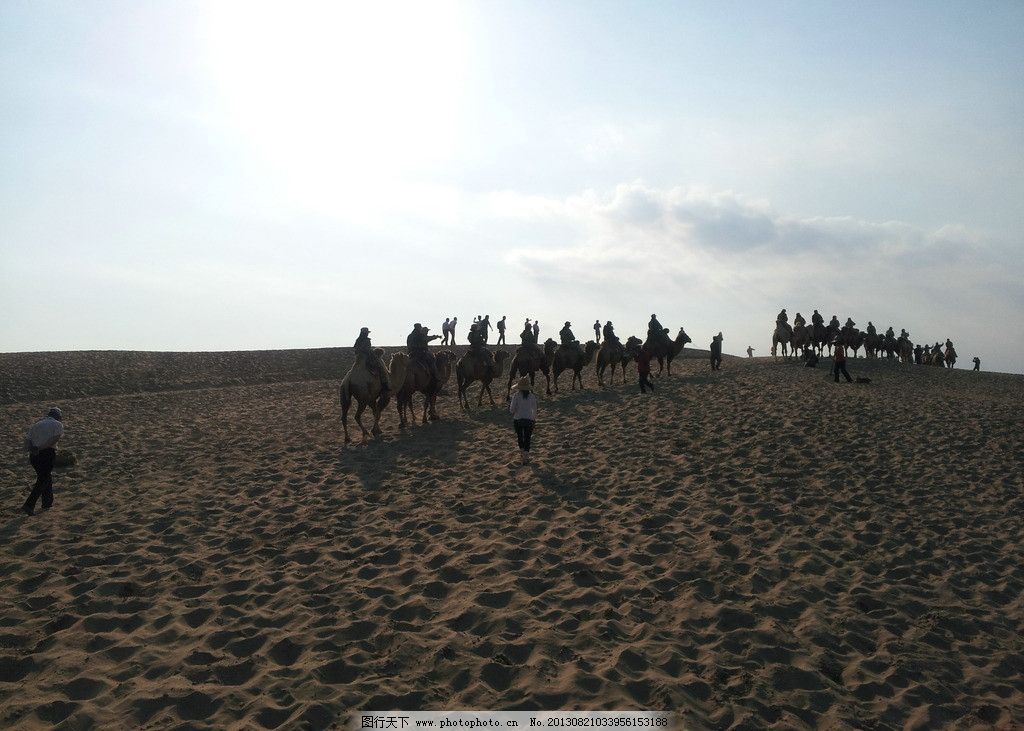 沙漠骑行图片,骆驼 天空 脚印 旅行 宁夏之旅 国