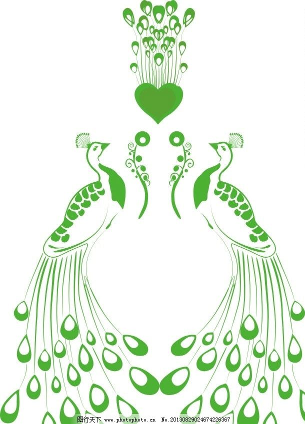 孔雀手绘 矢量孔雀 矢量鸟类 矢量动物 鸟类 生物世界 矢量 cdr图片