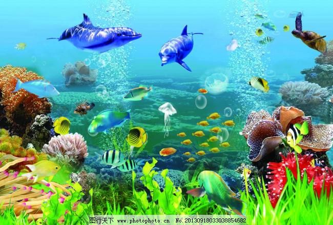 40dpi psd PSD分层素材 贝壳 海草 海底 海底背景 海底世界 海底鱼 海豚 底世界 水族馆素材下载 海底世界 水族馆模板下载 水族馆 海底 海底背景 海豚 海底鱼 热带鱼 鱼缸 水族馆背景 水族箱 水族箱背景 观赏鱼 淡水鱼 珊瑚 海草 贝壳 乌龟 鱼群 水母 水泡 psd分层素材 源文件 40dpi psd psd源文件 其他psd素材