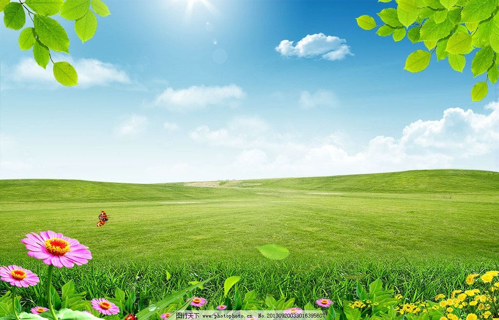 内蒙古 自然风景 绿色 白云草地 一望无际 绿色的草地 太阳 绿草 春天