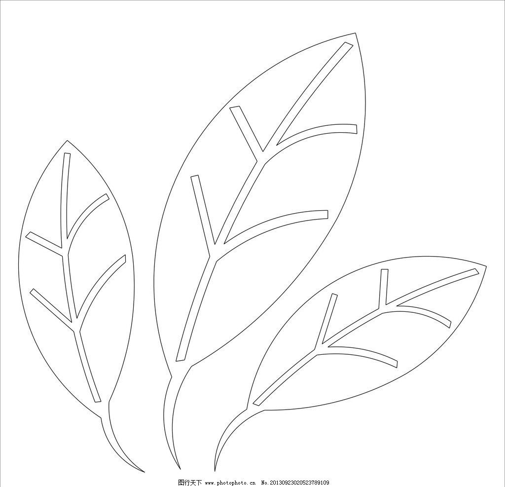 树叶 白描 矢量 线条 插画 条纹线条 底纹边框 cdr图片