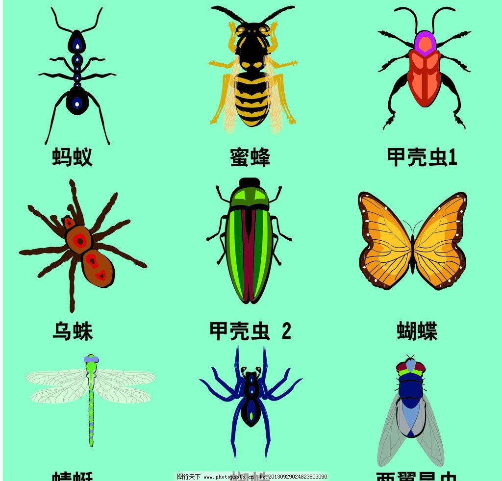 昆虫大全设计图__昆虫_生物世界_设计图库_昵图网nipic.com