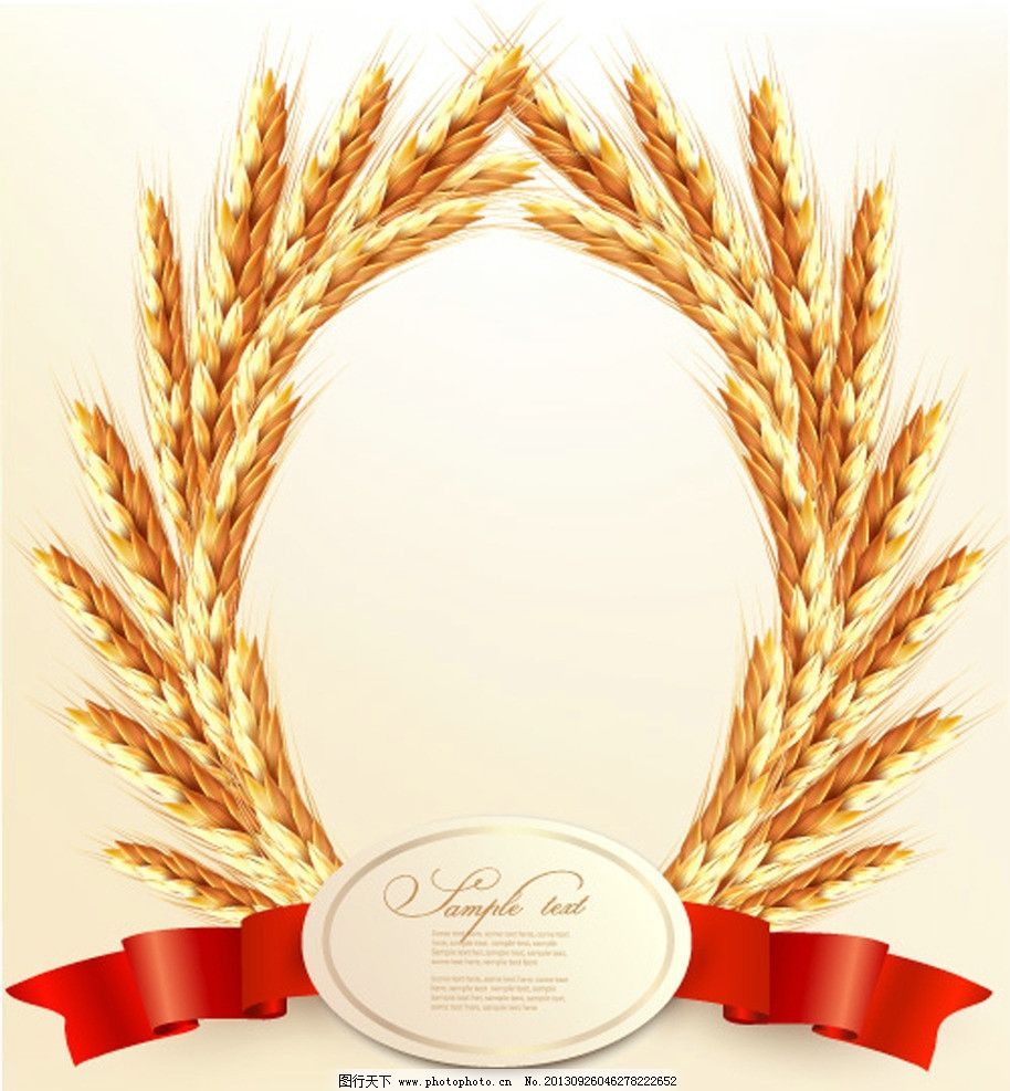 丝带画笔-画笔-画笔小球-ps画笔变成十字-ps画笔下载